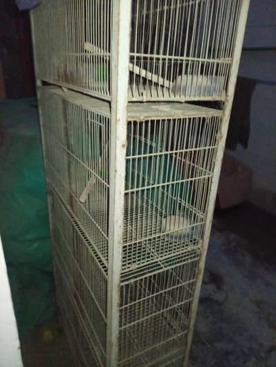 Birds Cage Price is 8000