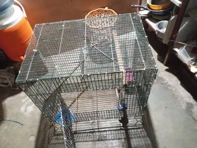 cage Phatki & Keekar box