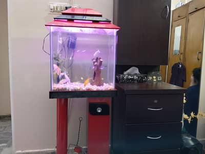 Aquarium For Sale (With Stand, Filter and Gravel Only)