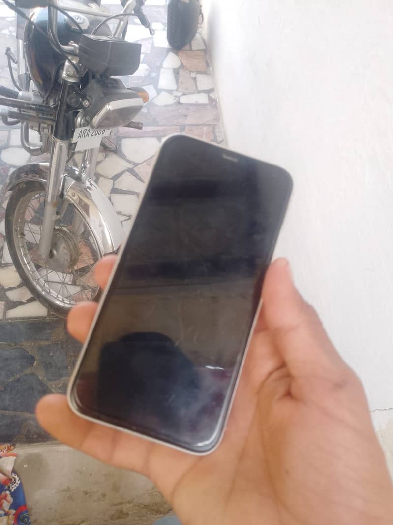 iPhone 11 0