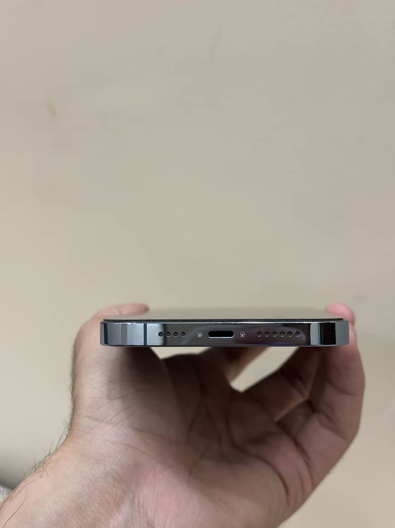 iPhone 13 Pro Max 1