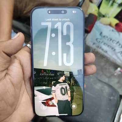 17 pro max 256 gb jv