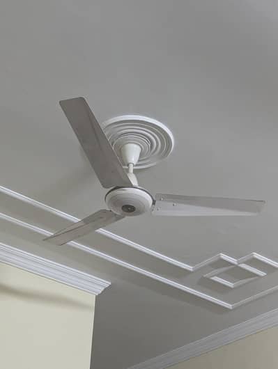 ceiling fans in great condition
