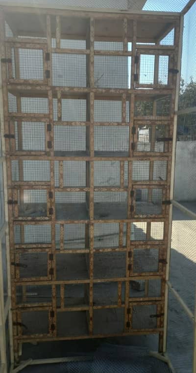 perfonsiol finance cage  3295367076,