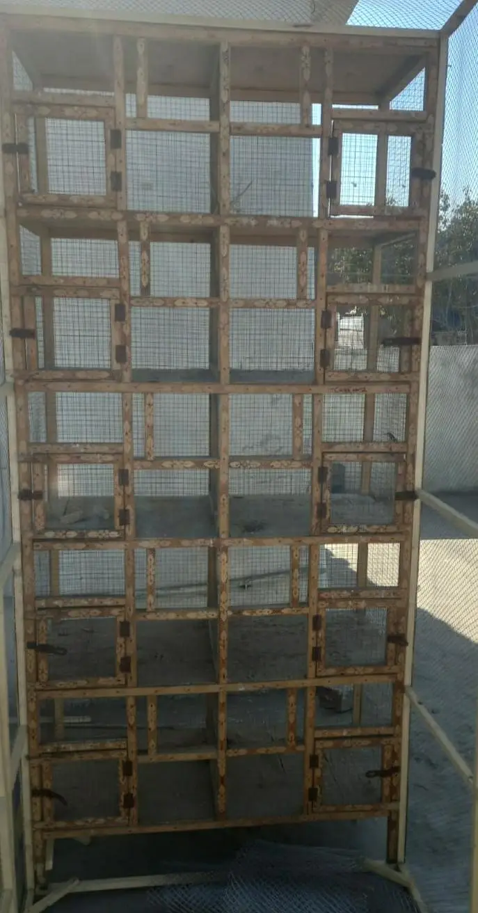 perfonsiol finance cage  3295367076,