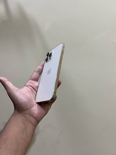 Apple iPhone 12 Pro Max (Factory Unlock)