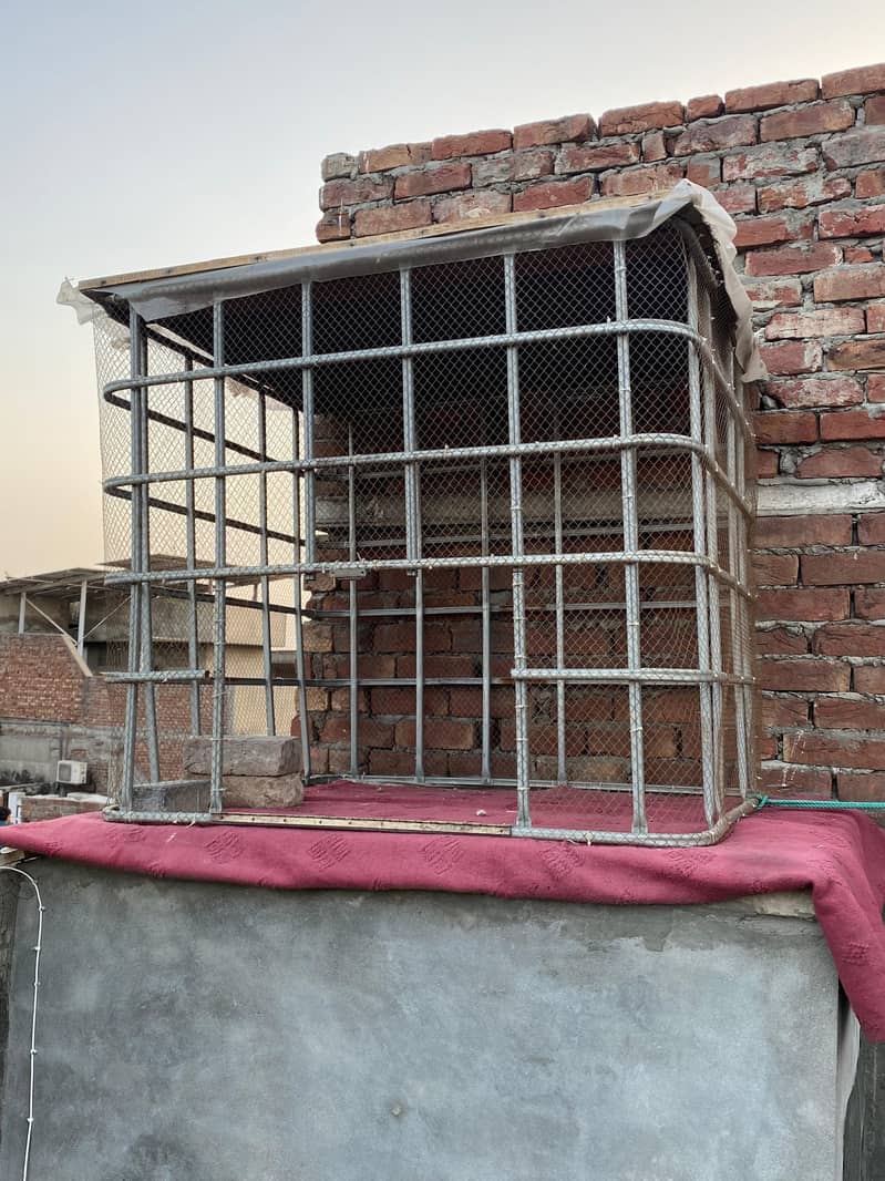 cages 1