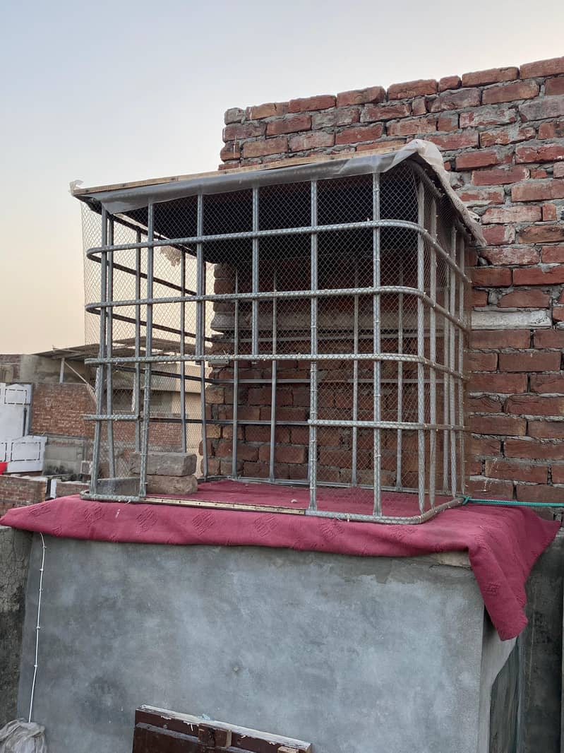 cages 2