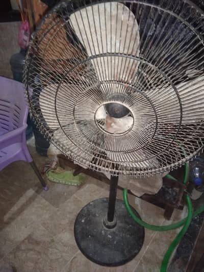 pedestal fan for sell