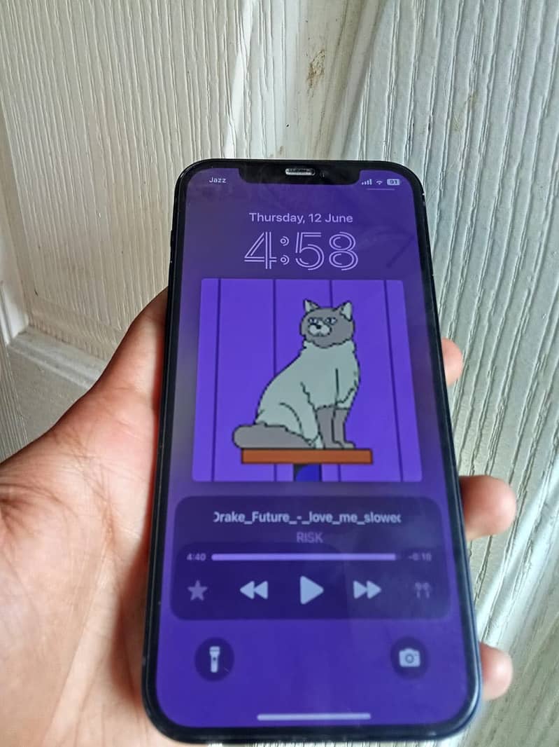 Apple iPhone 12 2