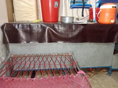 6 foot peti with stand