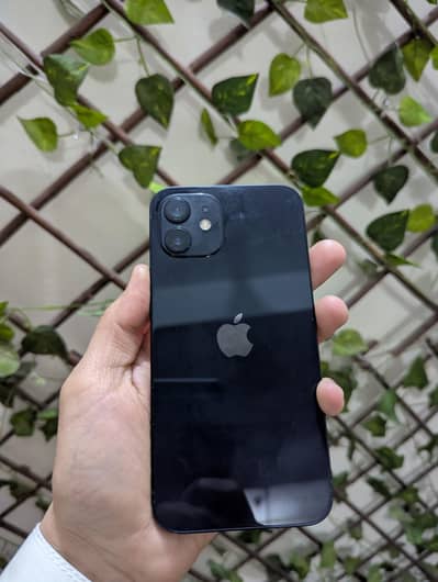 Apple iPhone 12