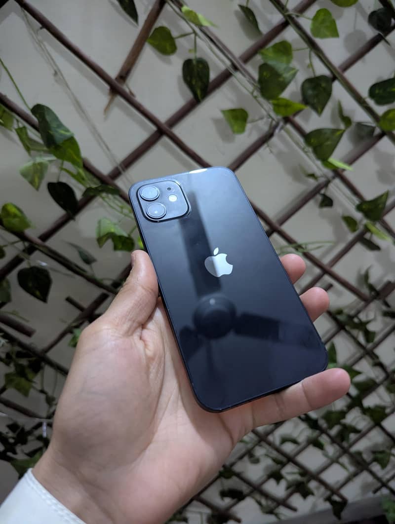 Apple iPhone 12 1