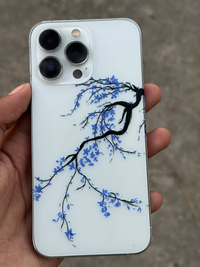 Apple iPhone 13 Pro 1