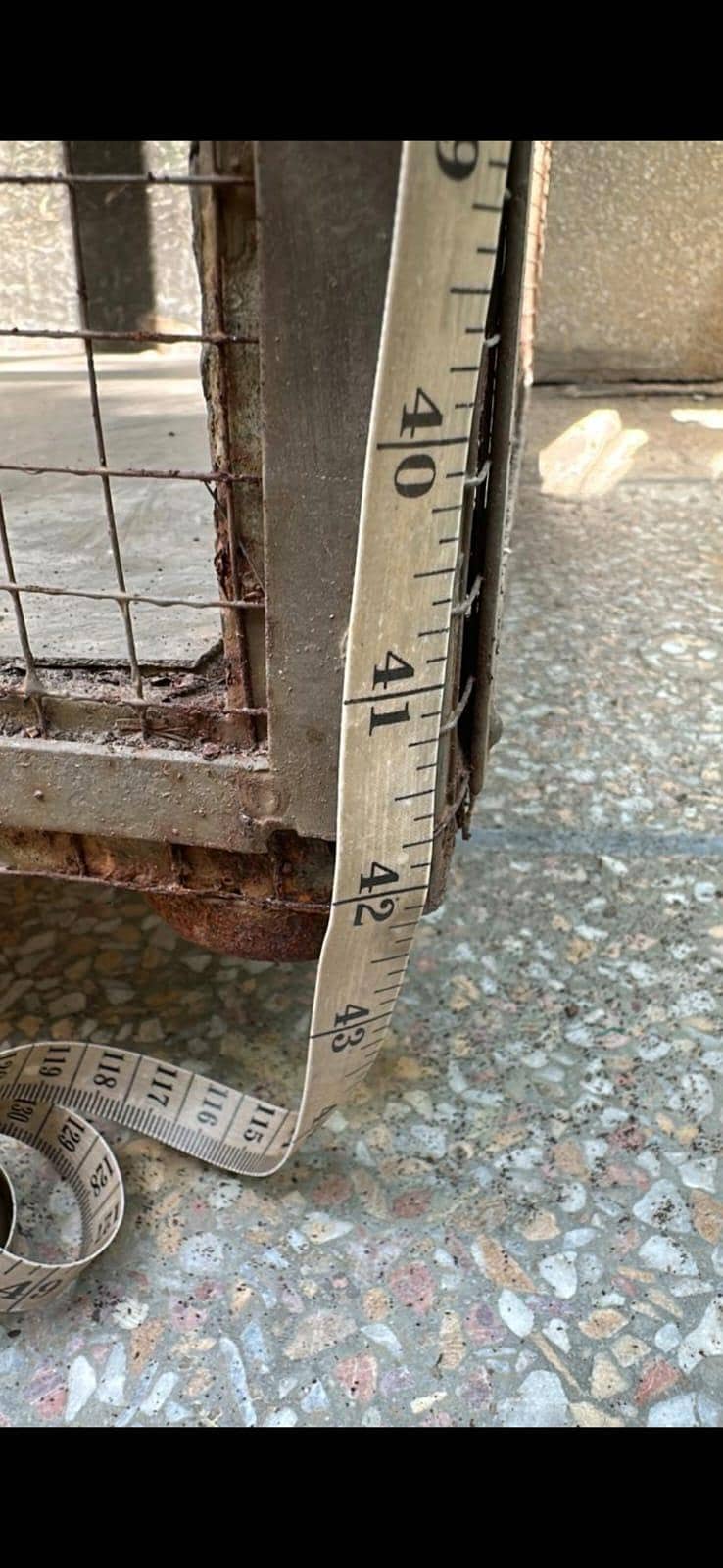 Solid Metal Cage 2