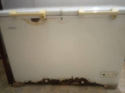 Haier D Freezer ( Full Size)