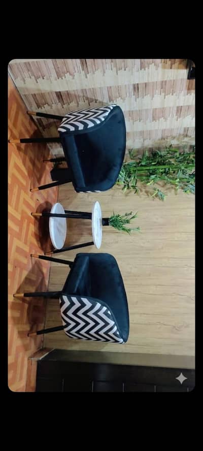 2 chairs 1 round table just 1 month use
