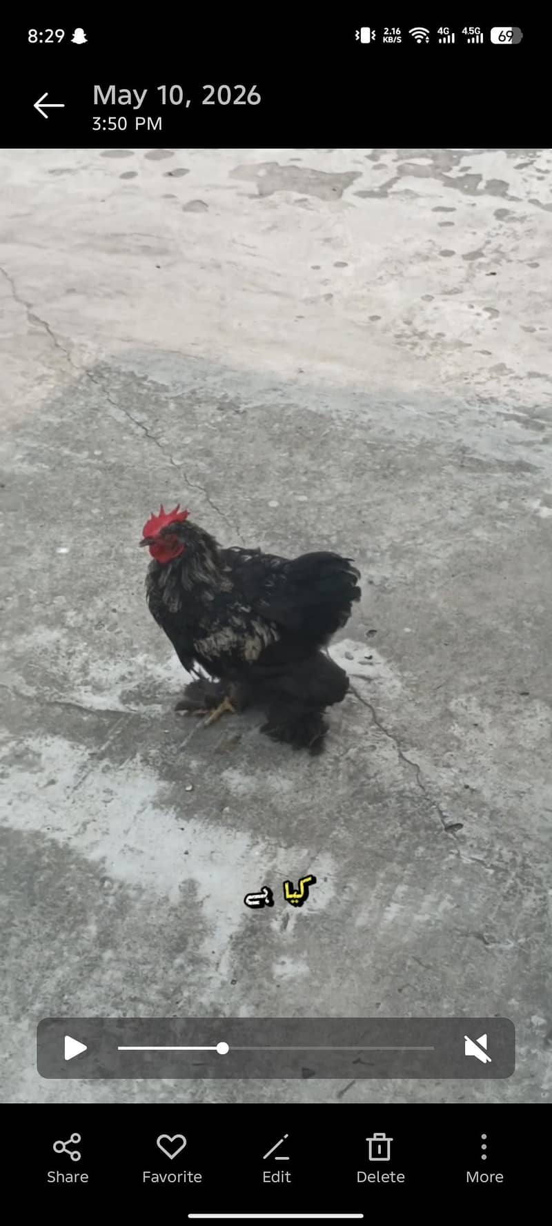 BLACK HEAVY BUFF 0