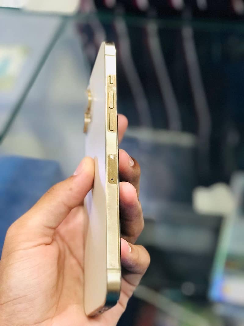iphone 12 pro max 2