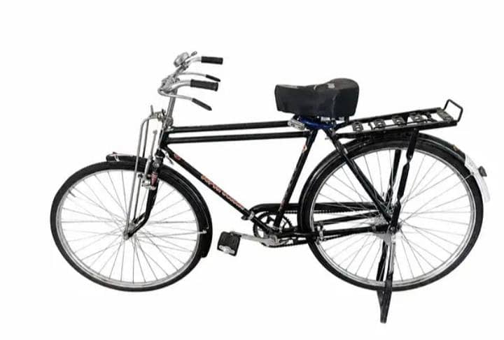 Baba cycle 22 0