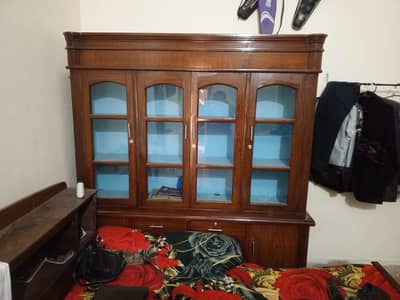 New Showcase