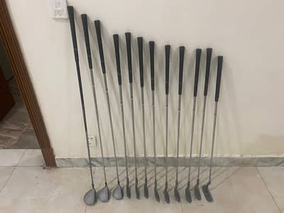 Northwestern Golf 12 Sticks