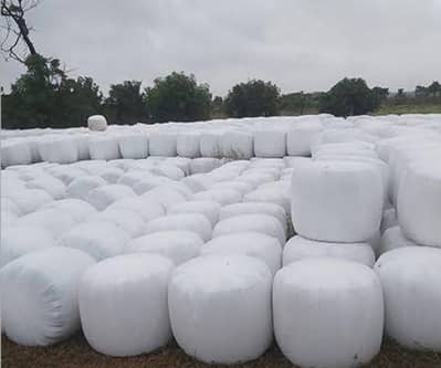 silage