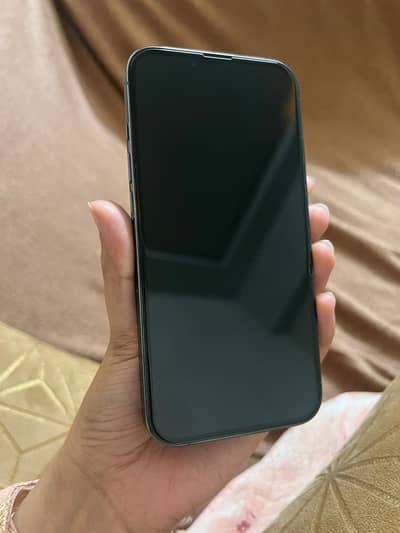 Apple iPhone 13 Pro