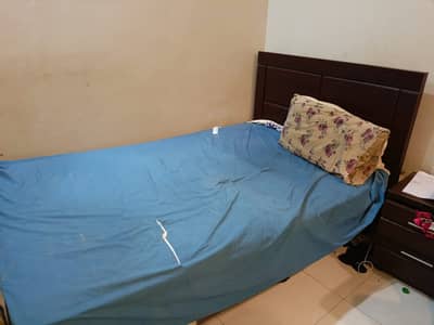 Single Bed with Spring Molty Foam Mattress