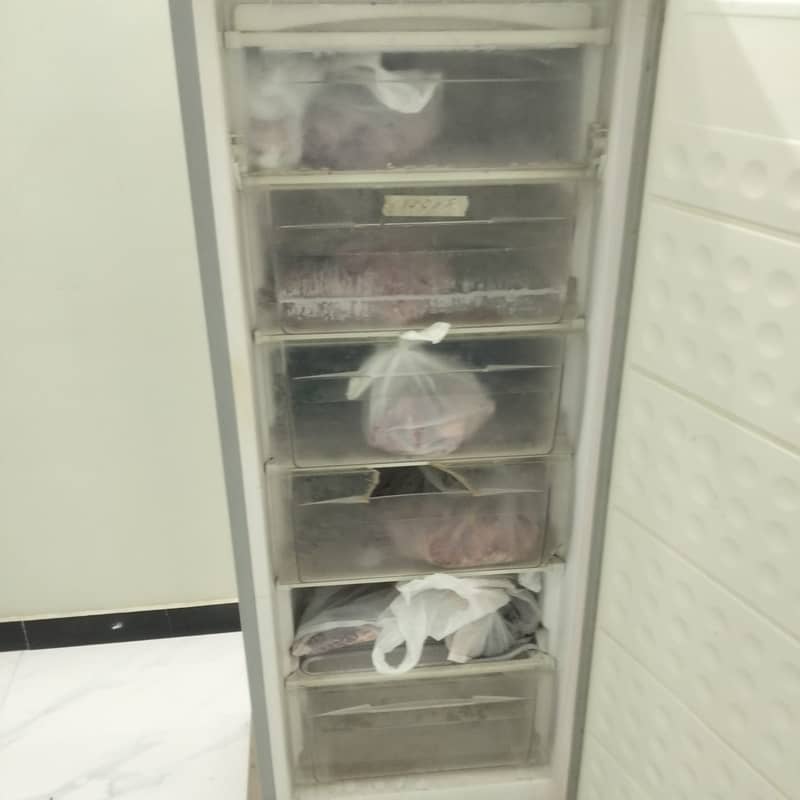 Vertical deep freezer 1