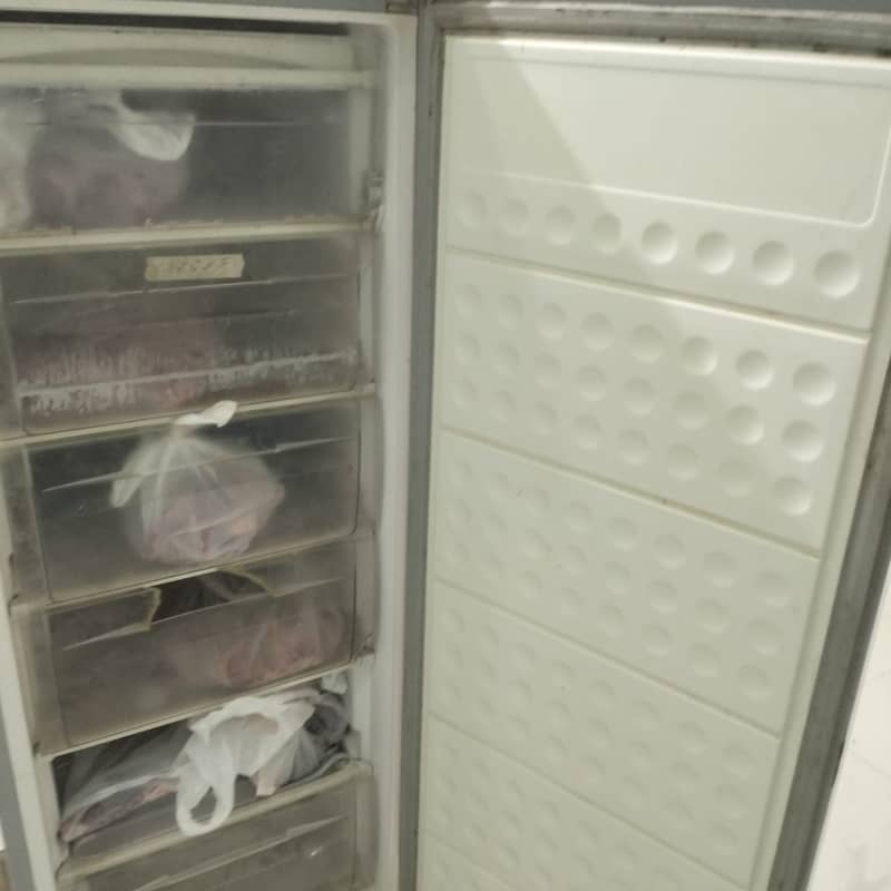Vertical deep freezer 2