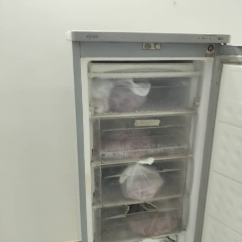 Vertical deep freezer 3