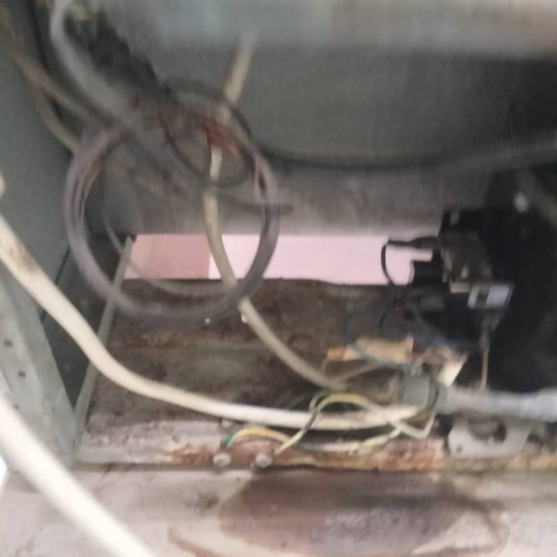 Vertical deep freezer 6