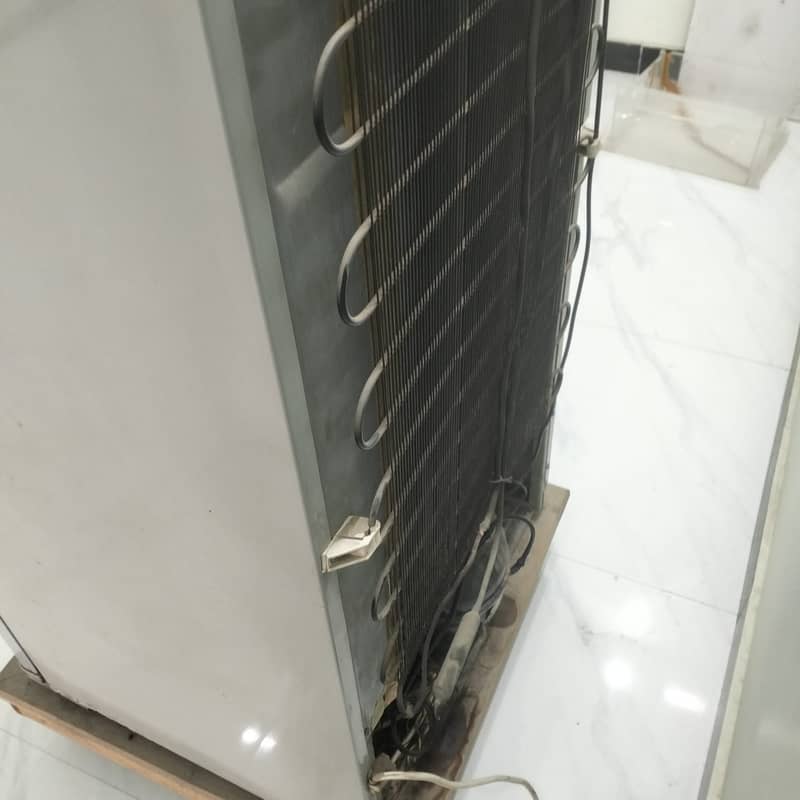 Vertical deep freezer 7