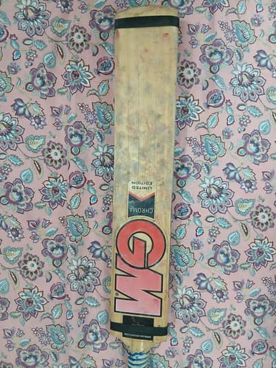 GM Hard Ball Cricket Bat