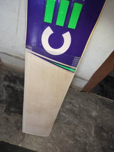 English willow cricket bat