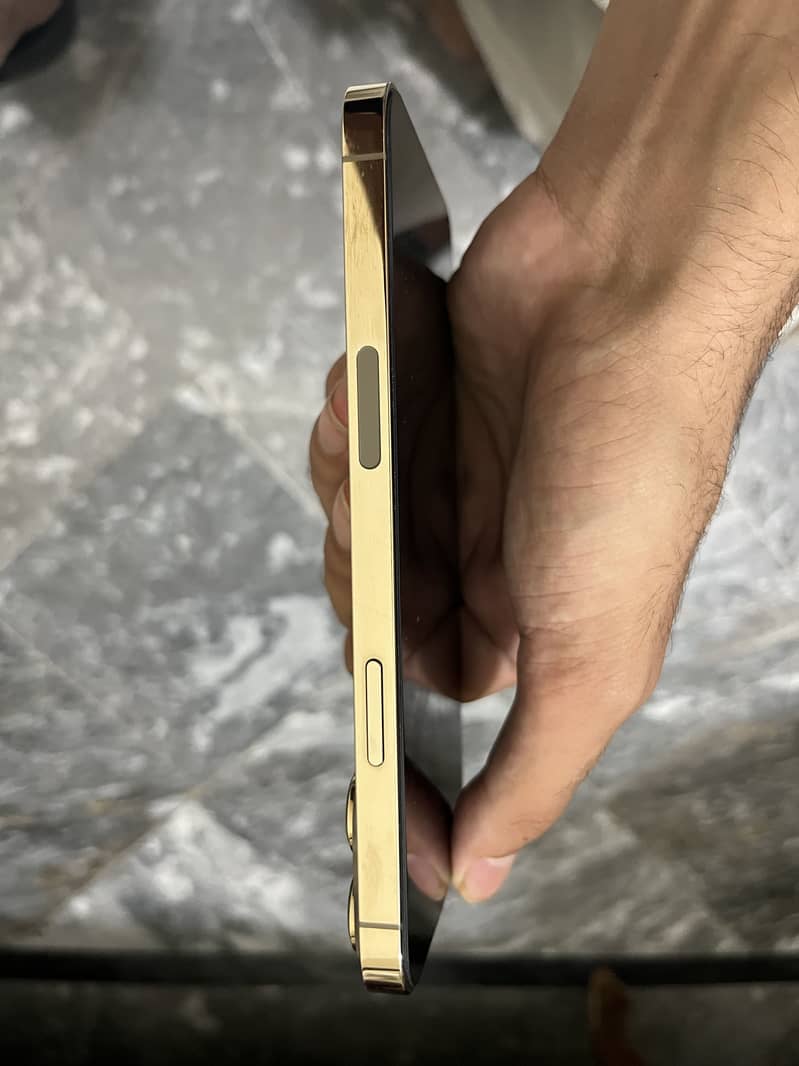 Apple iPhone 13 Pro Max 3