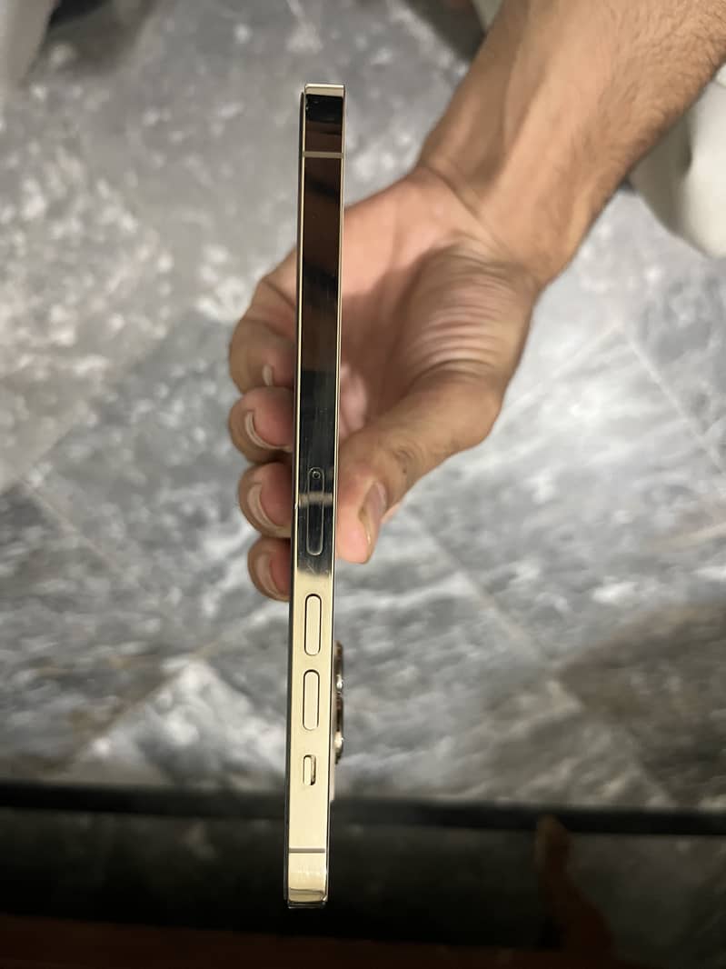 Apple iPhone 13 Pro Max 6