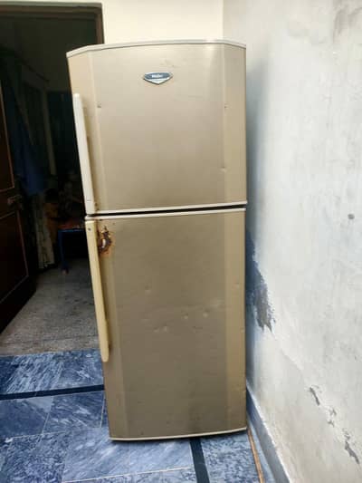 I am sale my refrigerator my number is 03706526579