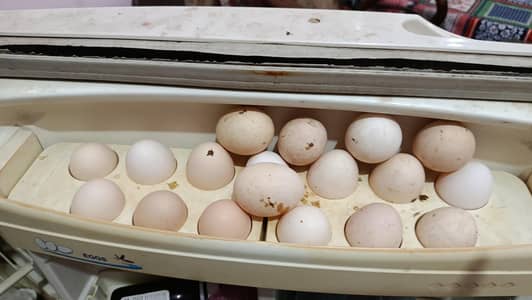 Organic Desi Eggs for Sale
