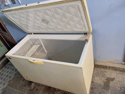 Wave 2 door fridge