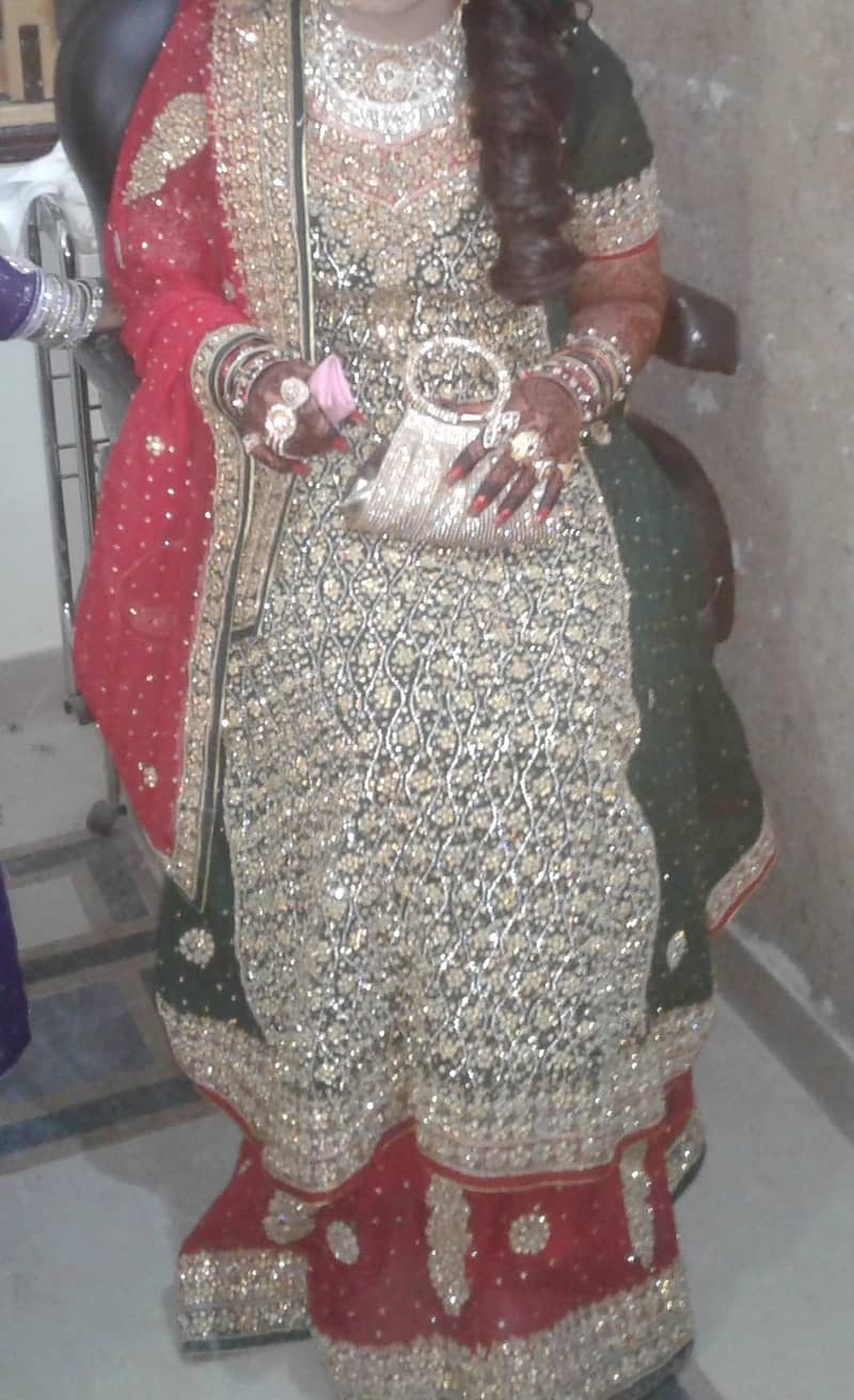 groom 0