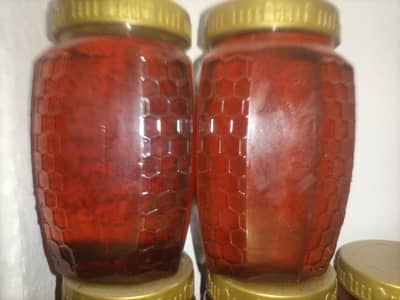 Jangli Big Bee Honey For Sale