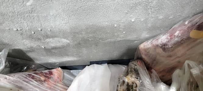 Deep Freezer (deluxe)