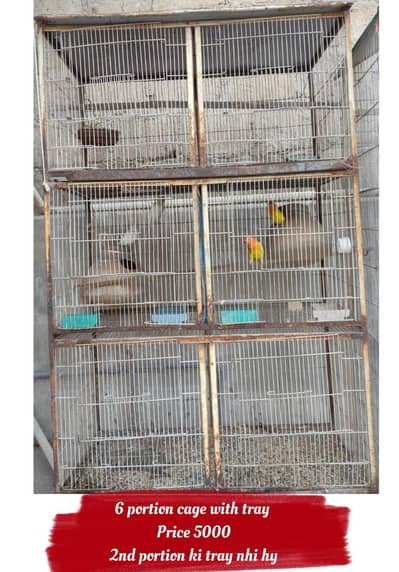 Iron Cages