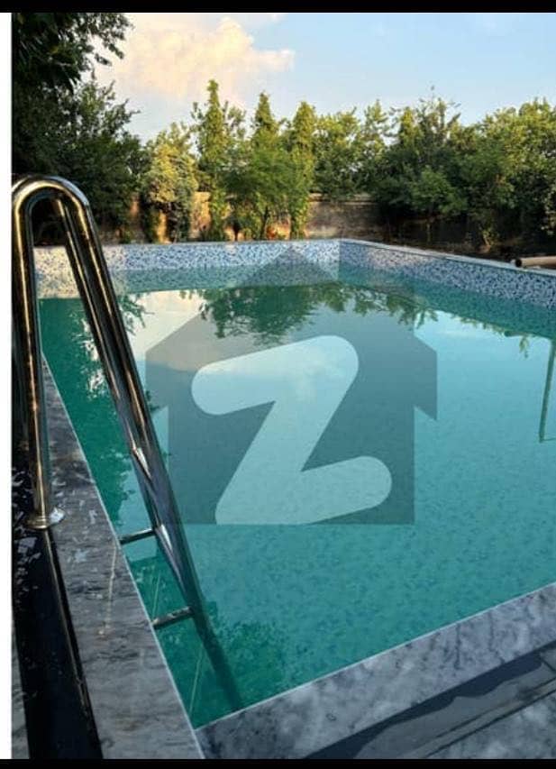 Swimming pool 5