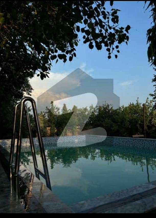 Swimming pool 6