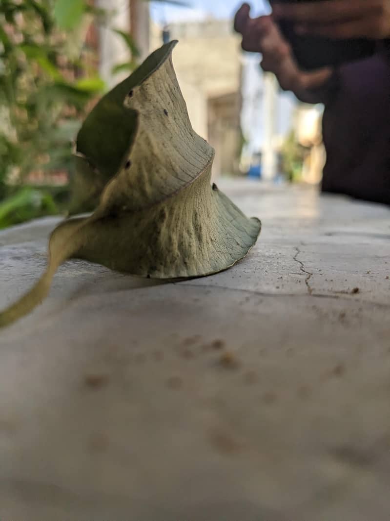 Google Pixel 4 8