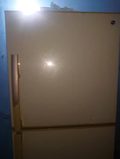 pel large double door refrigerator