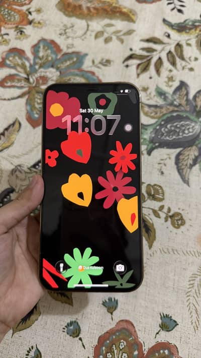 Apple iPhone 12 Pro Max
